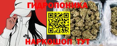 спайс Гагарин