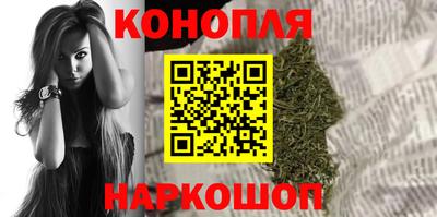 мяу мяу мука Гатчина