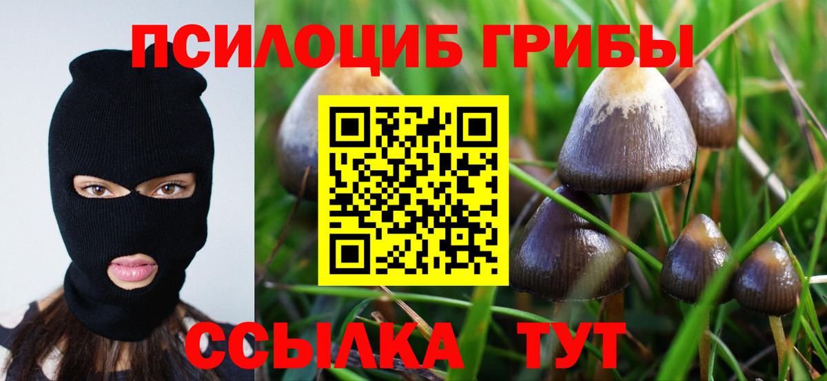 Псилоцибиновые грибы GOLDEN TEACHER  Вход с VPN  Галлюциногенные грибы прущие грибы  Майкоп 