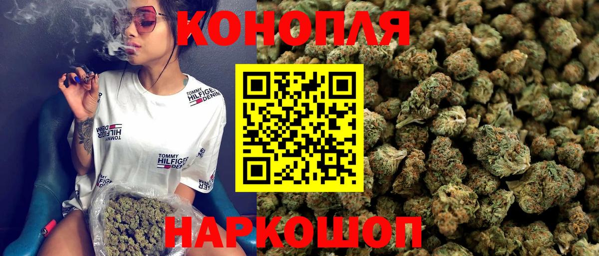 Каннабис конопля Майкоп